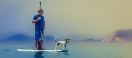 Paddleboarding with your dog