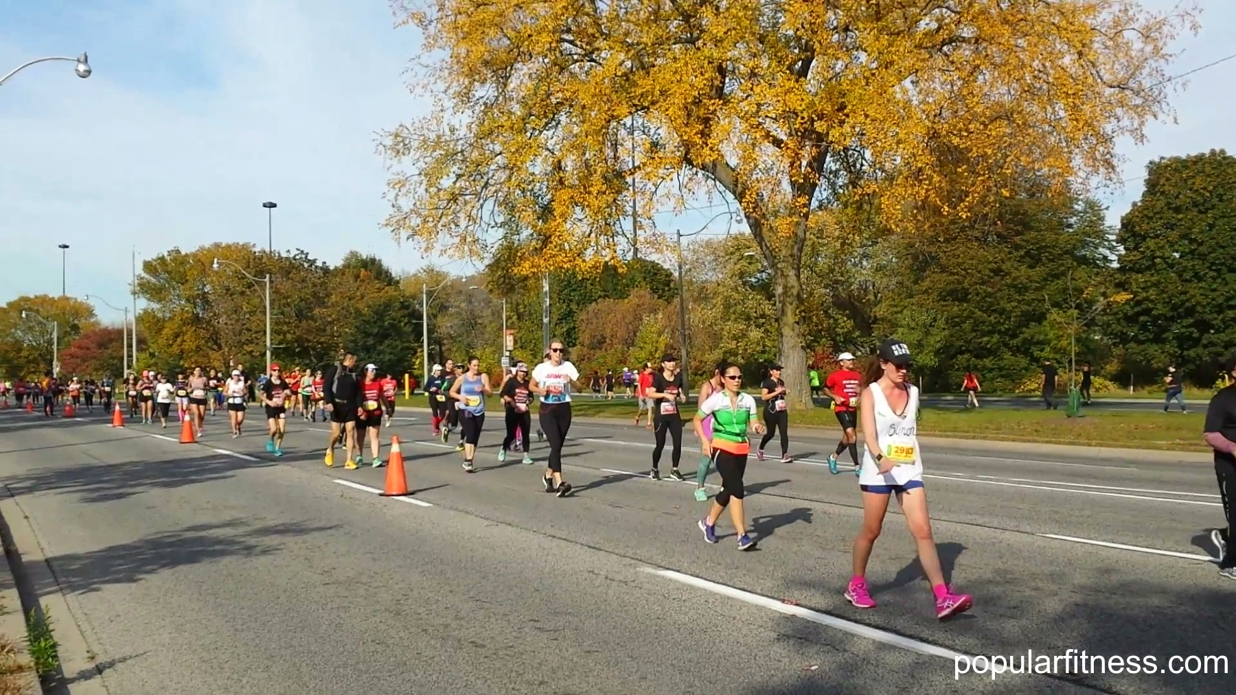 fall colors 2017 Toronto Waterfront Marathon - photo by popular fitness