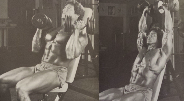 Arnold Press dumbbell shoulder press exercise