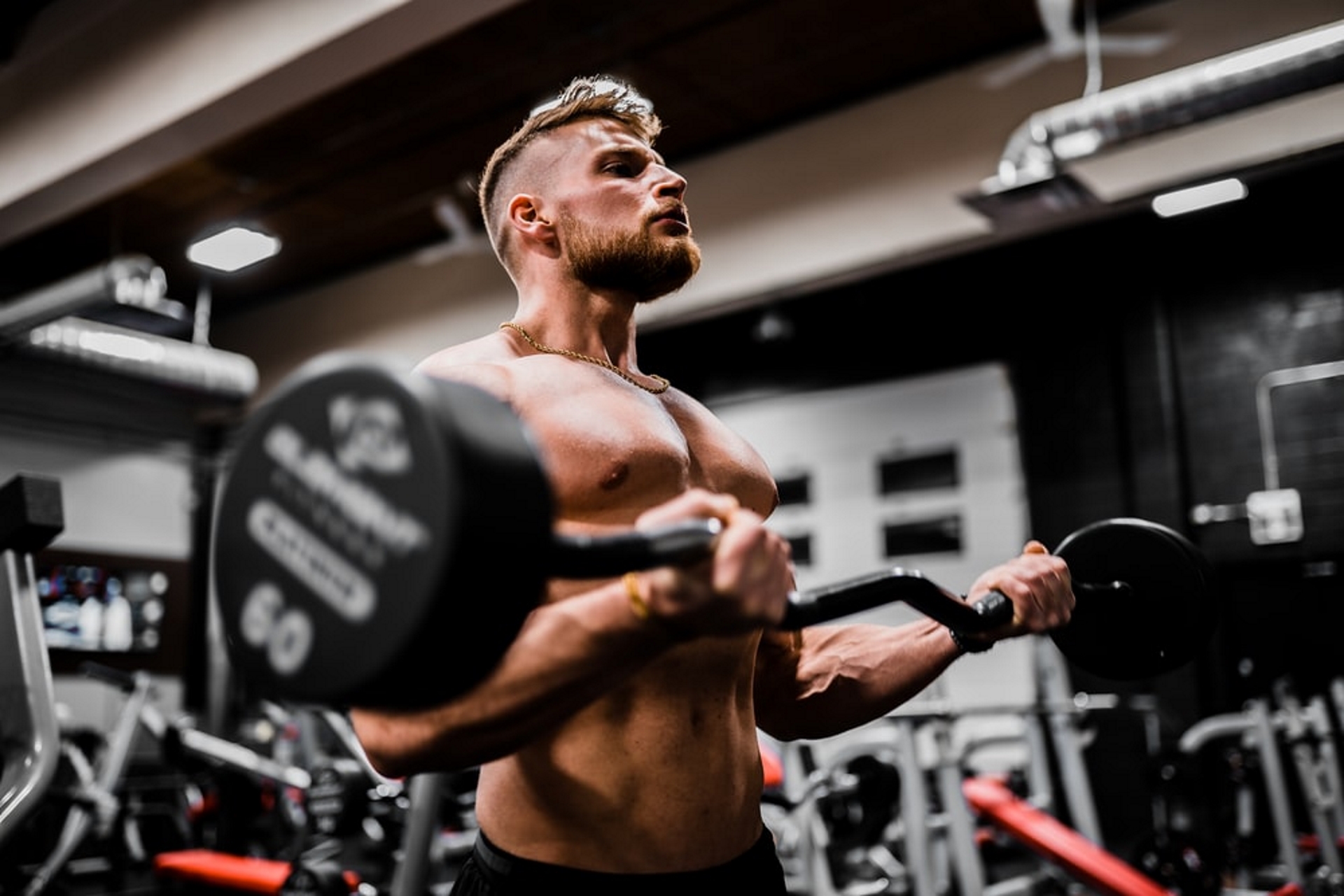 Man doing standing biceps curl exercise at the gym with a barbell