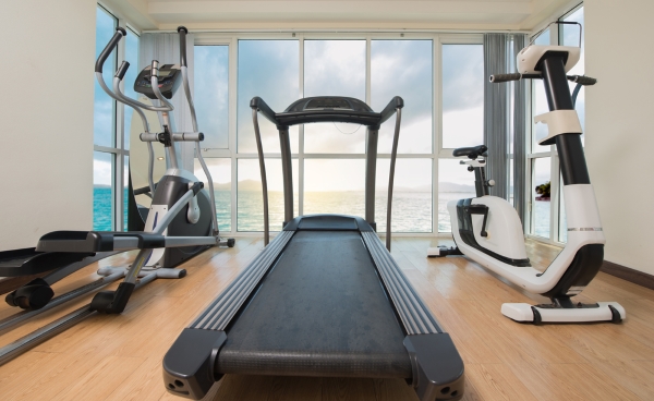 Treadmill and cardio equipment for home gym