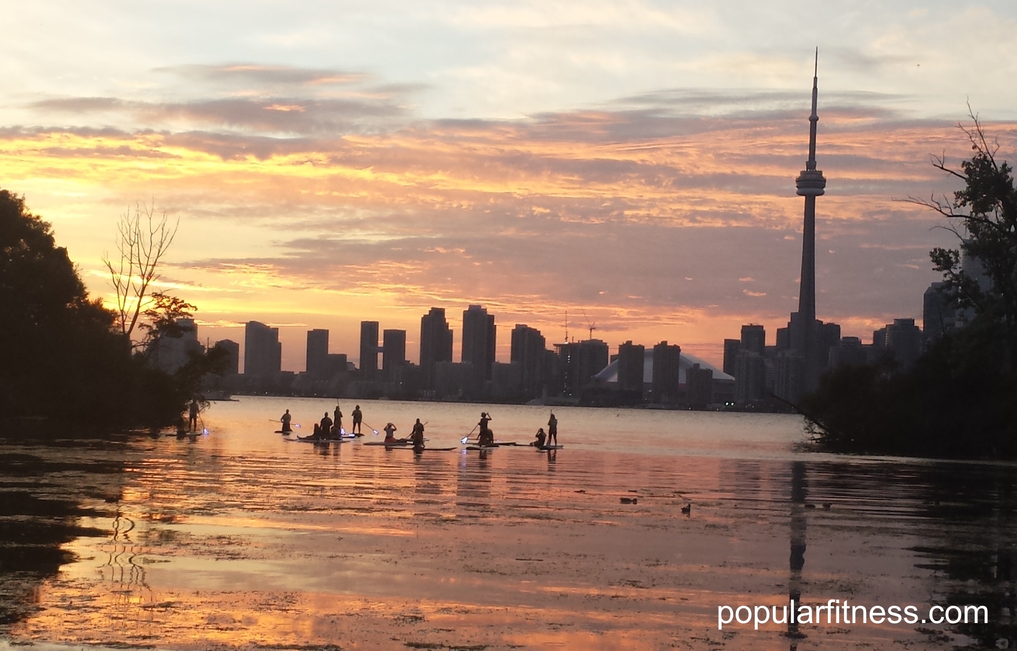 Group paddleboarding sports and exercise activity in summer on the lake