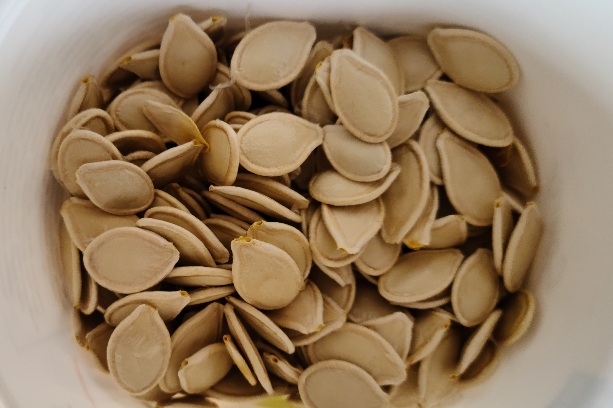 Roasted pumpkim seeds