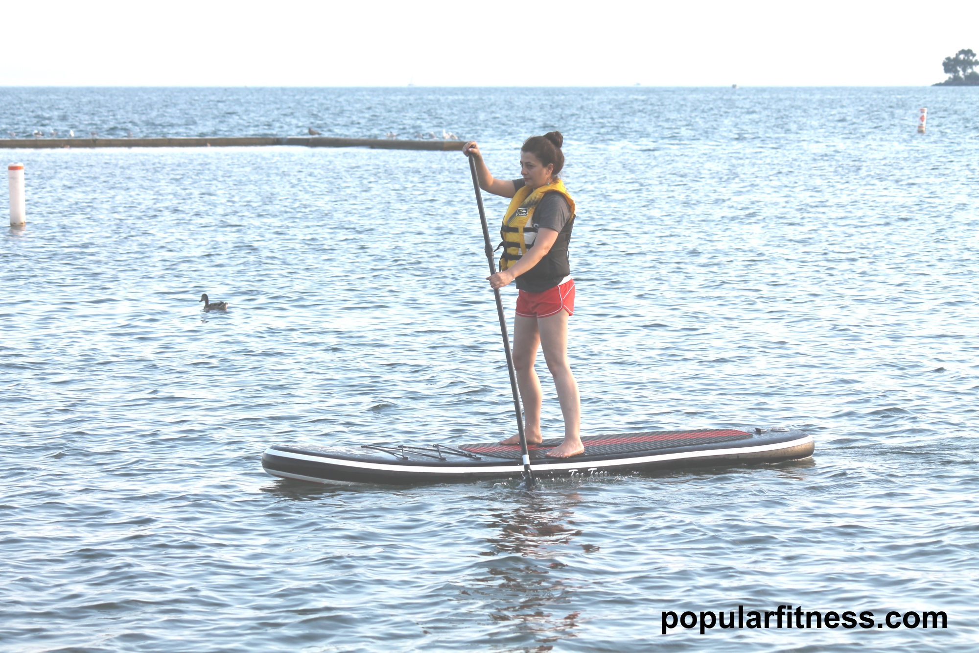 Paddle boarding on a paddleboard on the lake while standing up - photo by popular fitness