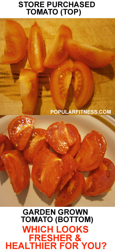 How to Grow Tomatoes from Store Bought Tomatoes 