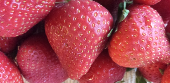 Fresh red strawberries - high in Vitamin C and folate - photo by popular fitness