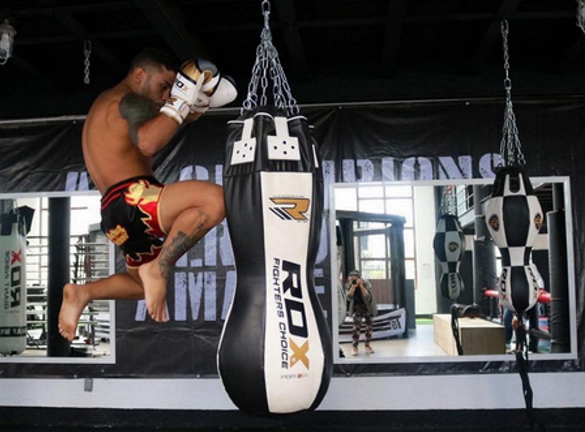 Training for a MMA fight - training for the MMA sport