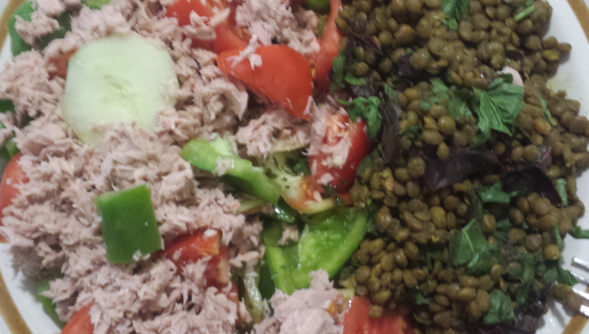 Tuna fresh garden salad and brown lentils dinner